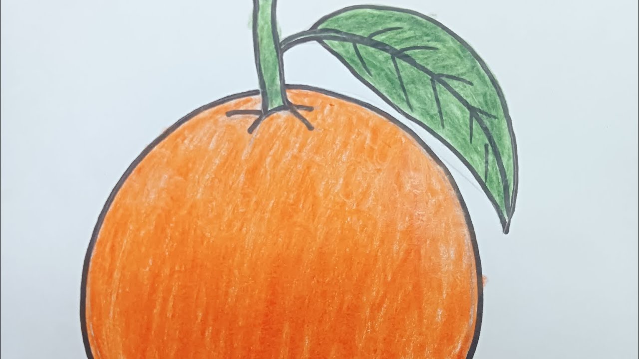 “Beautiful Orange Drawing | কমলালেবু / মাল্টার ছবি আঁকা | Fruit Art” 🍊🌿
