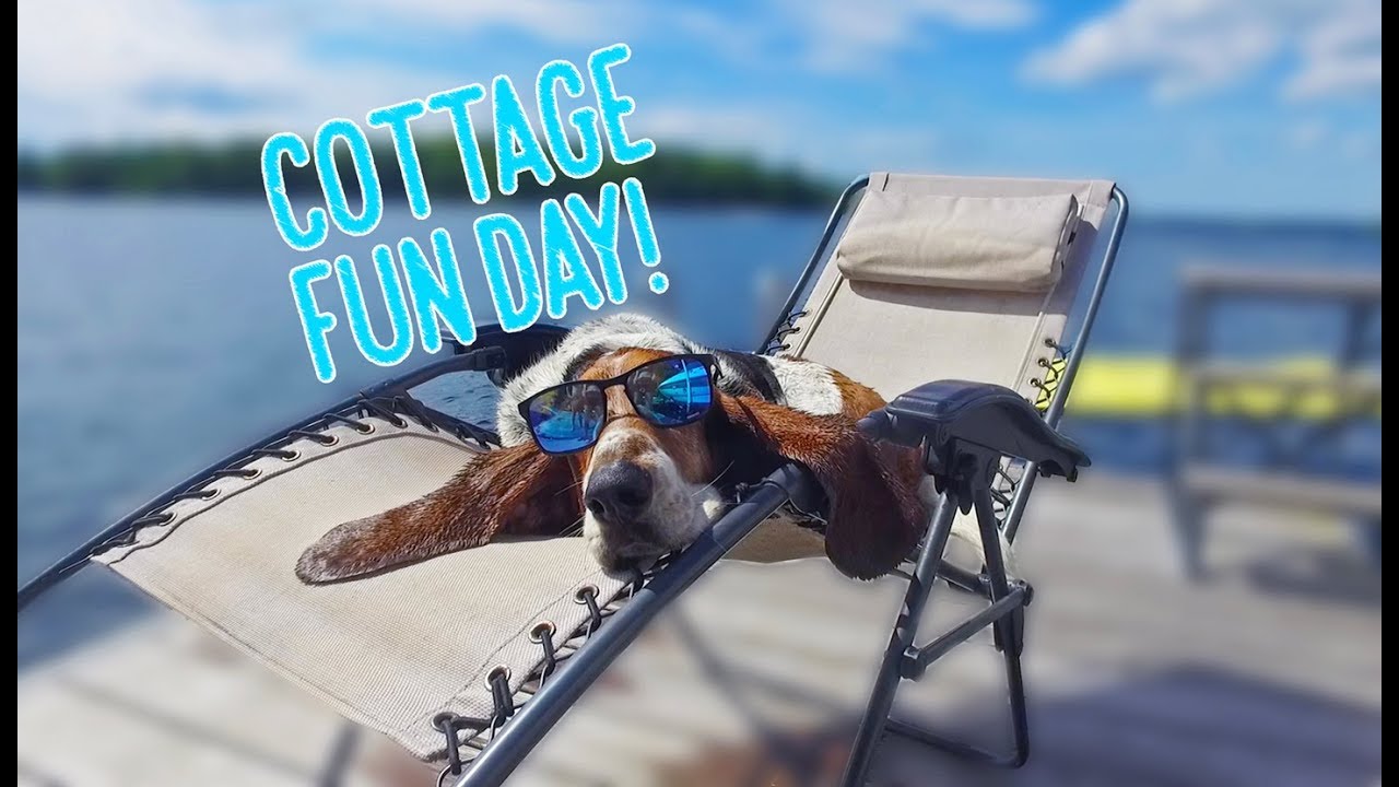 Dean's cottage fun day!