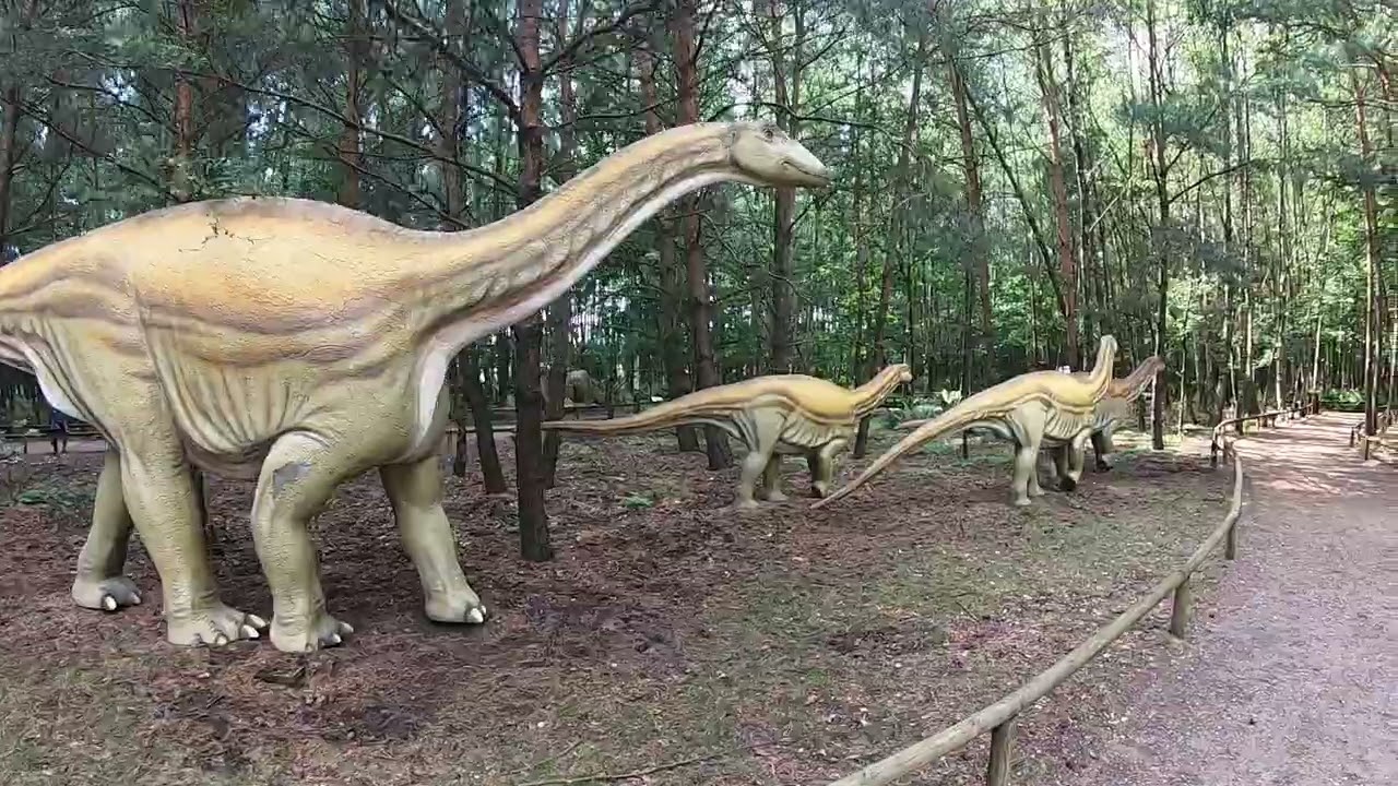 PARK DINOZAURÓW NOWYNY WIELKIE