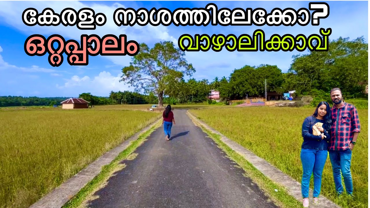 ഇങ്ങനെ പോയാൽ കേരളത്തിന്റെ അവസ്ഥ? ? ഒറ്റപ്പാലം വാഴലിക്കാവ് | Ottappalam movie location
