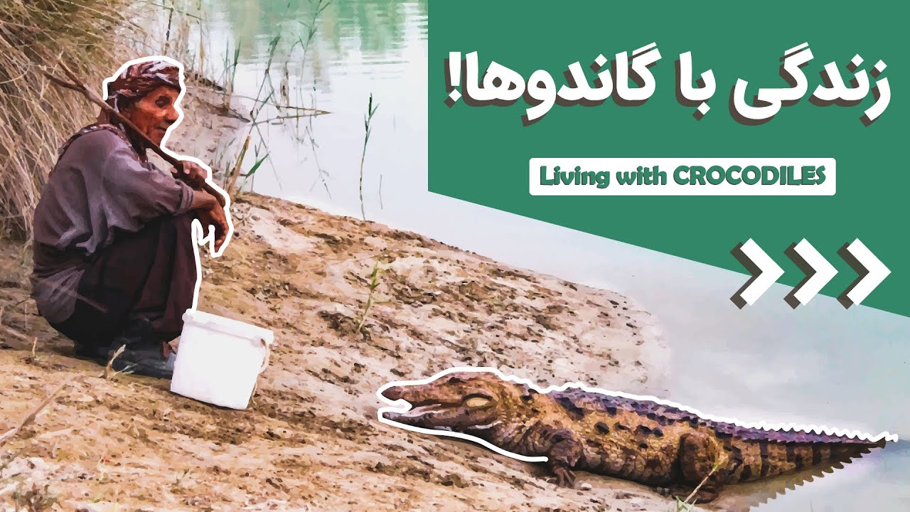 مردی که با گاندوها زندگی می‌کند، داستان عمو شجره در بلوچستان ایران 🇮🇷 living with Crocodiles