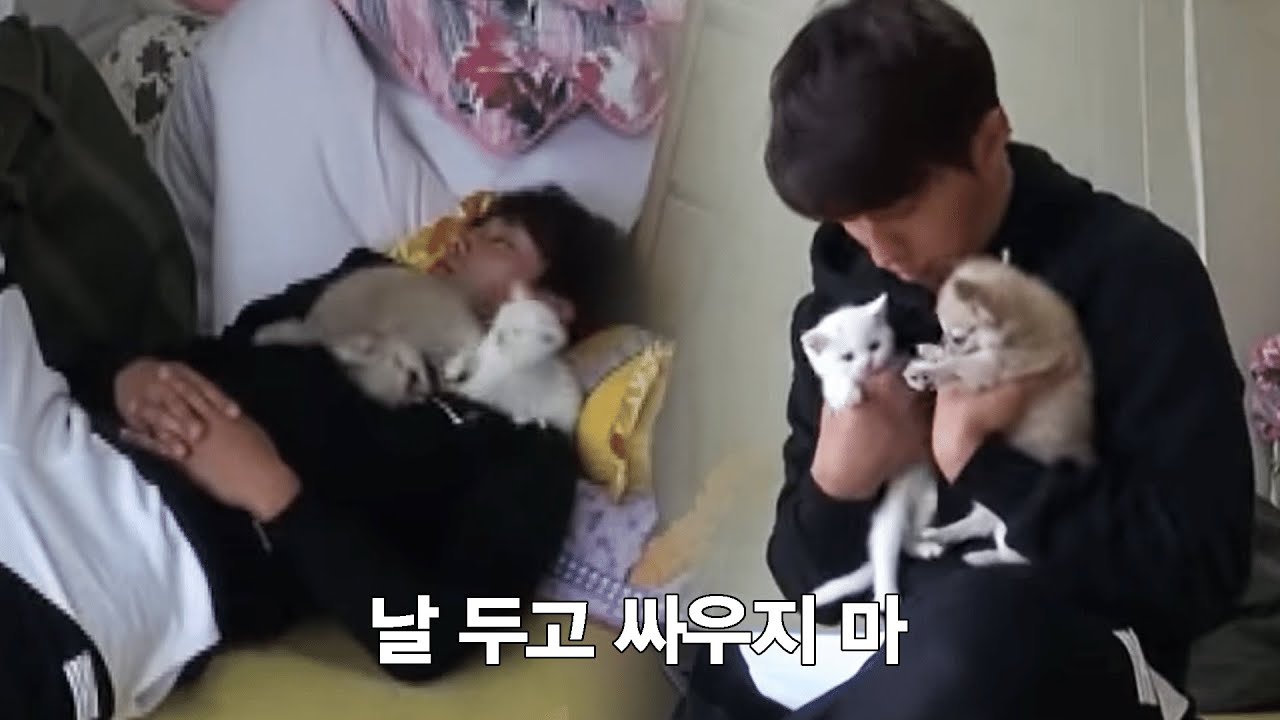 [#삼시세끼]의 아이돌 뽀시래기즈 손호준X산체X벌이ㅋㅋㅋ | #Diggle