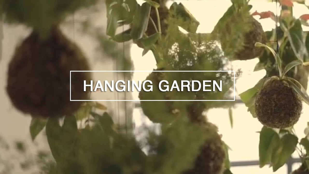Hanging String Garden  - DIY