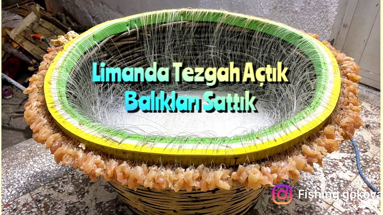 Gökova körfezinde Tavuk göğüsü ile paragat avı/Mercan avı #akyaka #balıkçı #balıkavı