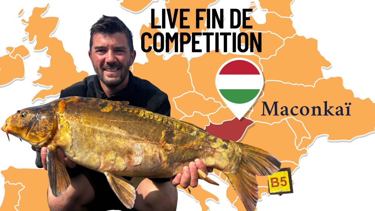Les 2 dernières heures de pêche !! Départ en direct ! Koï en direct !