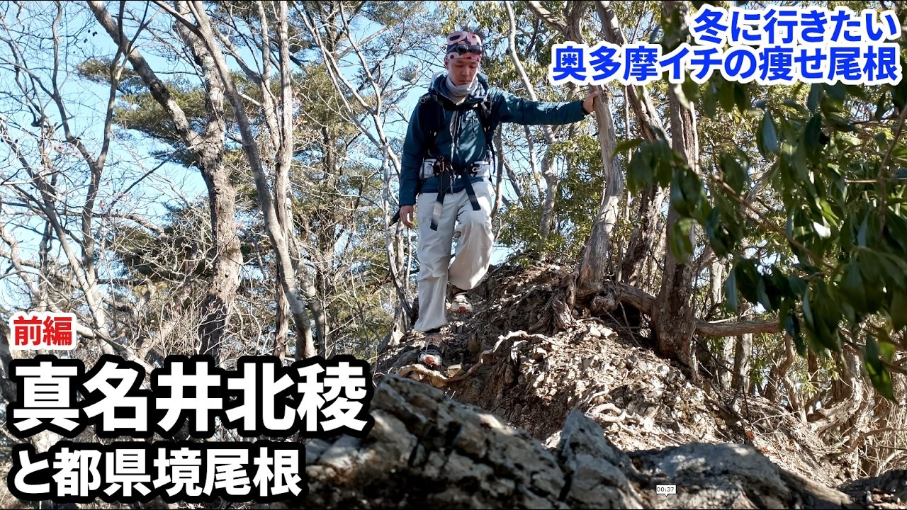 【↑真名井北稜・都県境尾根 前編】1年ぶりに奥多摩イチの痩せ尾根へ