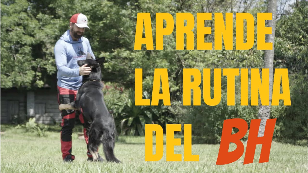 Aprende la Rutina del BH
