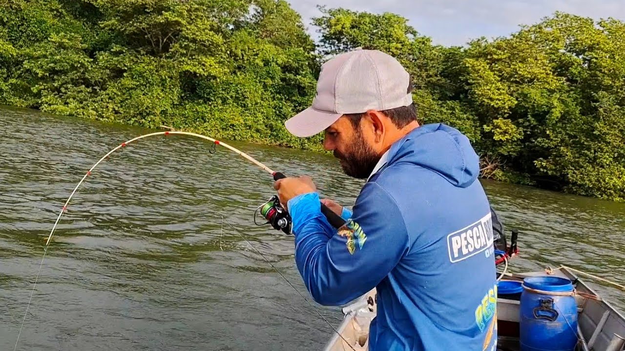 O CARDUME ENCOSTOU DEBAIXO DO BARCO AI FOI PEIXE PRA TODO LADO/PESCARIA DE PIAU NO RIO PARANÁ.