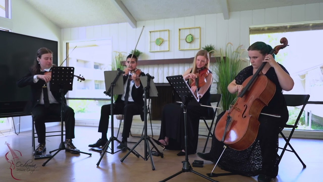 OMG: Lavender String Quartet 