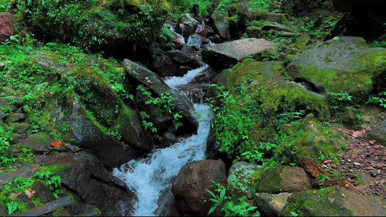4K-HDR | Relaxing Gentle River Flow for Sleep & Rest | Natural Calm Water Sounds for Peaceful Night
