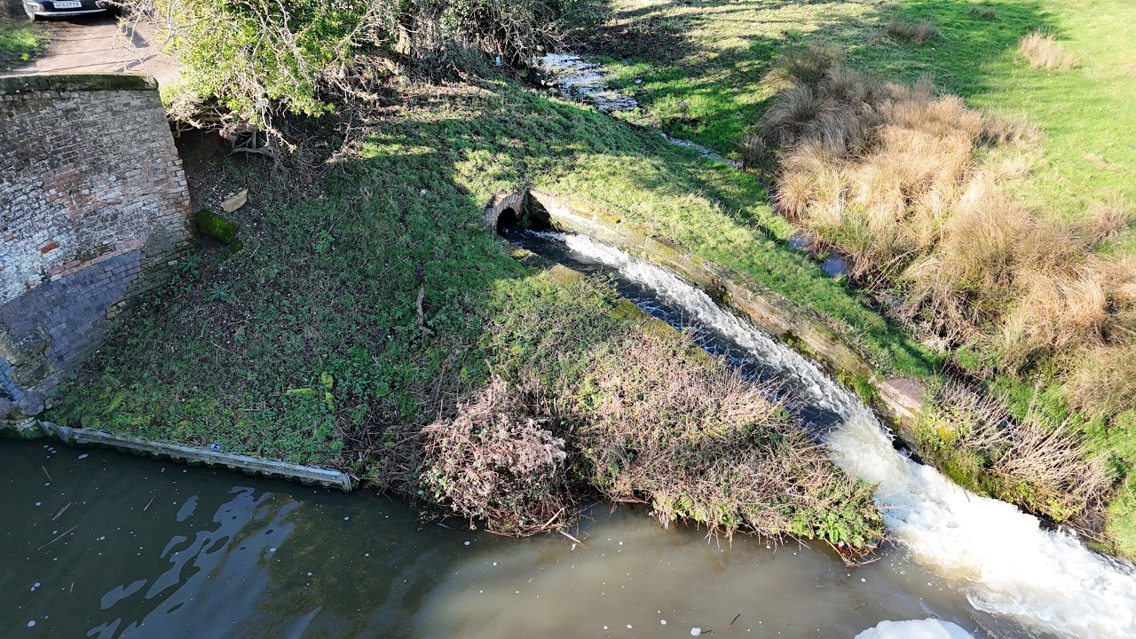 Canal monster, spotted at Weston on Trent
