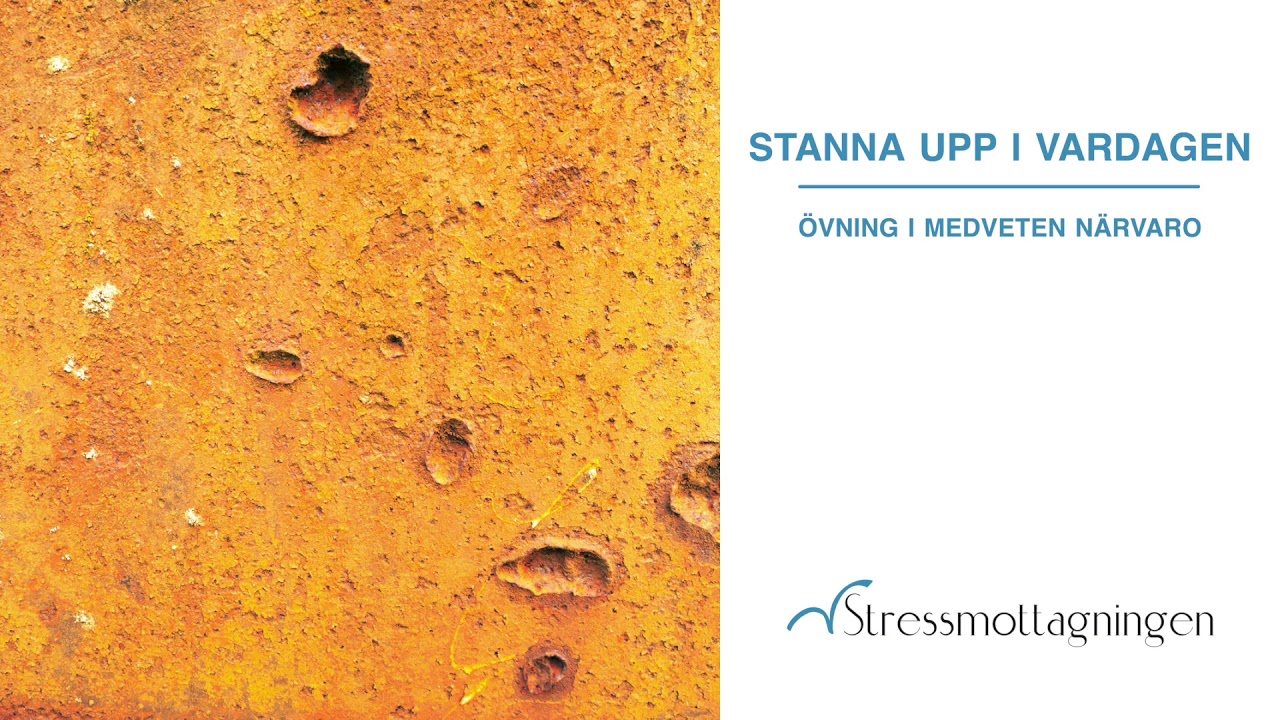 Stanna upp i vardagen &ndash; &ouml;vning i medveten n&auml;rvaro
