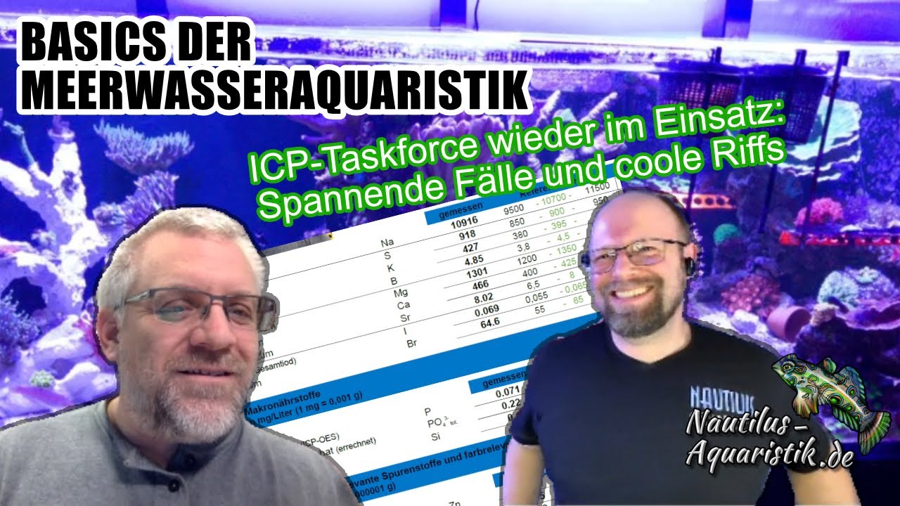 ICP-Taskforce wieder im Einsatz! Spannende Fälle und coole Riffs
