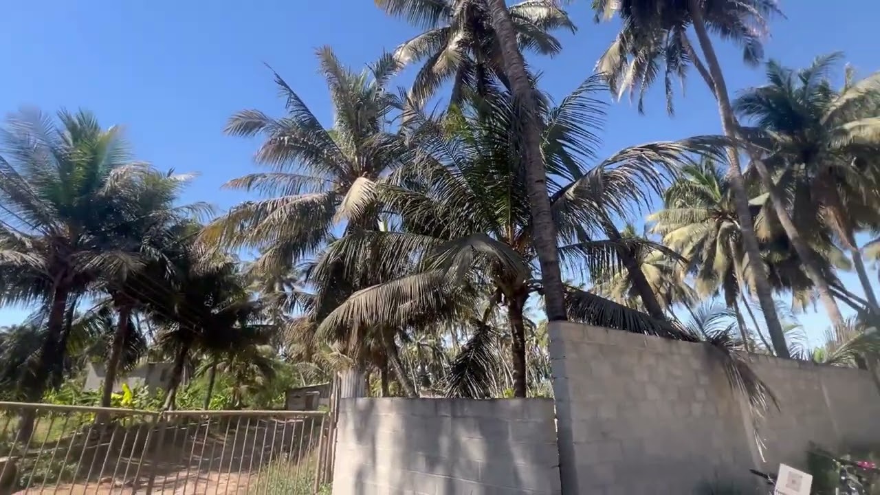Salalah vibe🥹🚴#cycling #family vloge#oman 