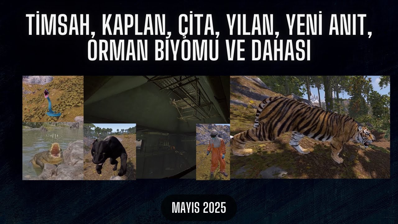 Rust - Timsah, Kaplan, Çita, Yılan, Yeni Anıt, Orman Biyomu ve Dahası | 2025 Mayıs
