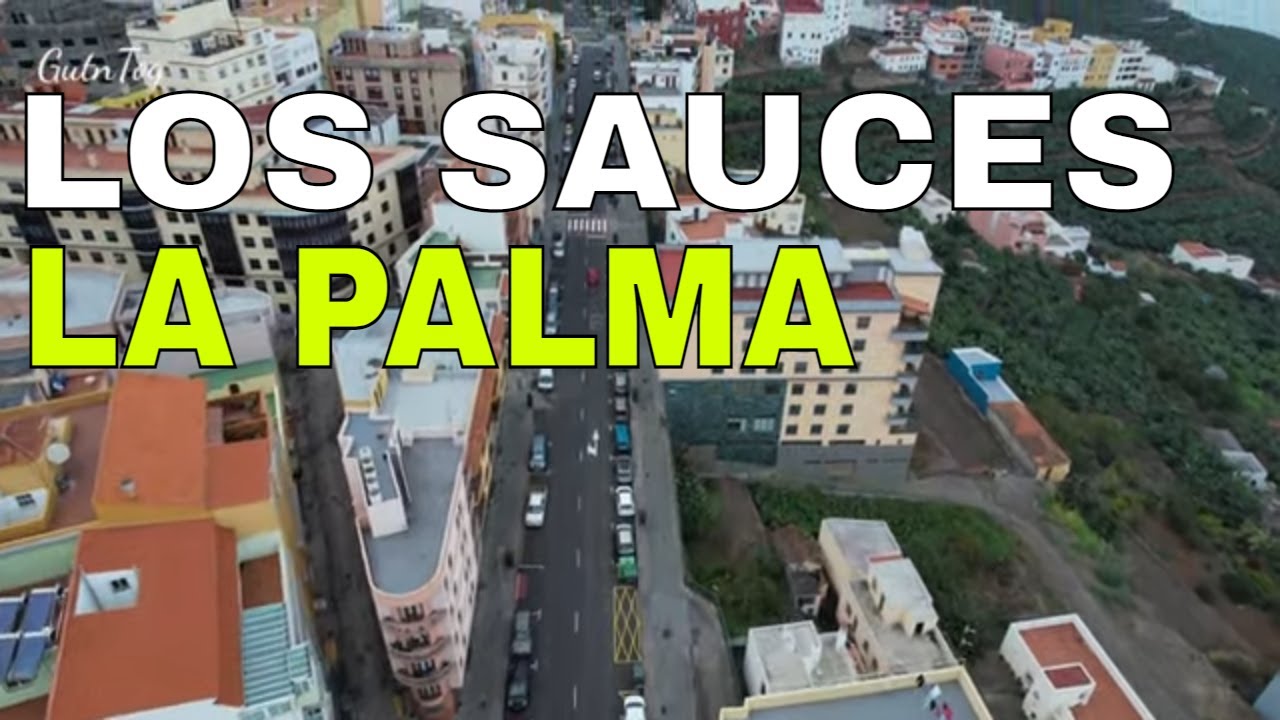 La Palma Drone: Los Sauces and Agua Ravine 4K Part #2