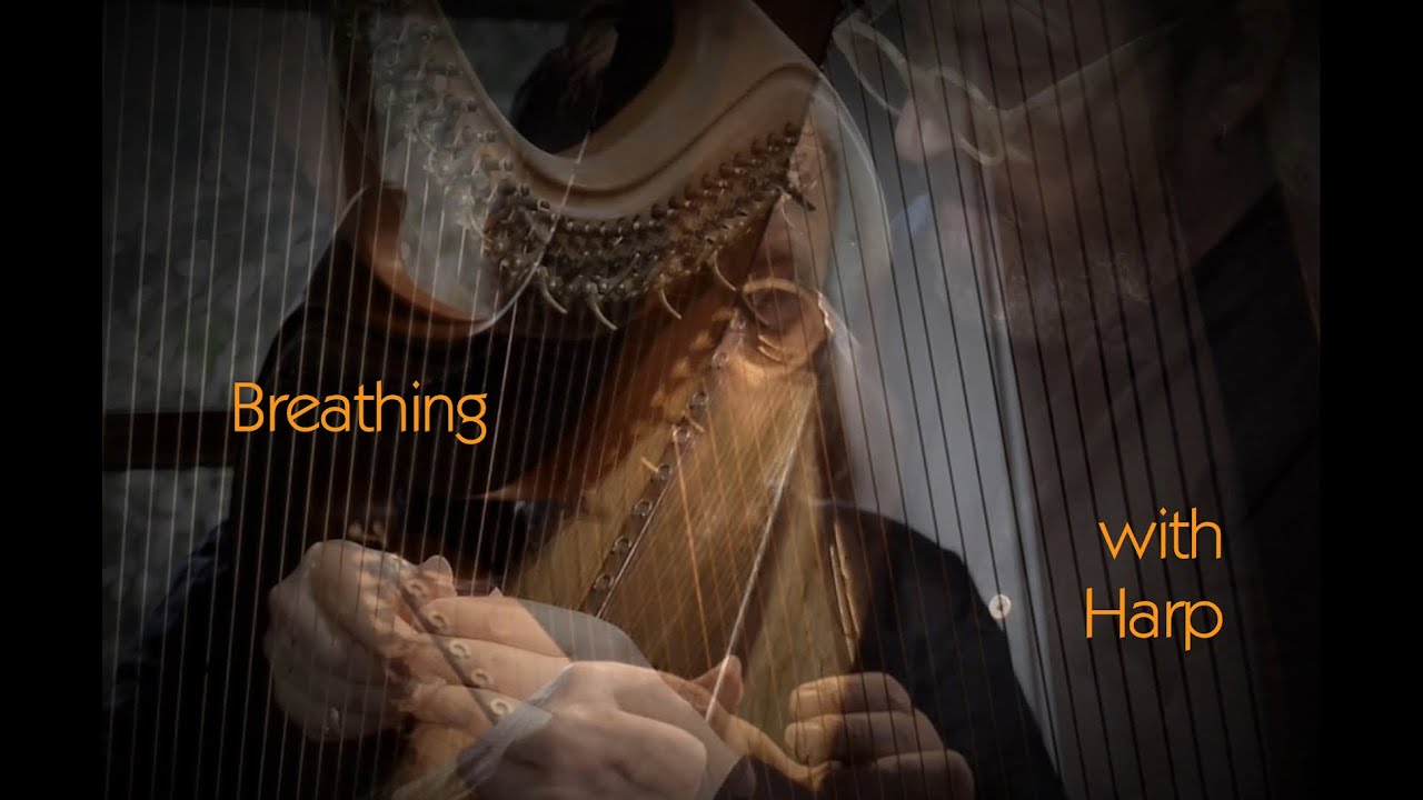 Vogel Plays Oppermann: „Breathing with Harp“
