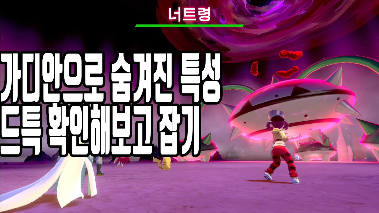 포켓몬스터 소드 실드 맥스레이드 숨겨진특성 드특 확인하고 잡는법