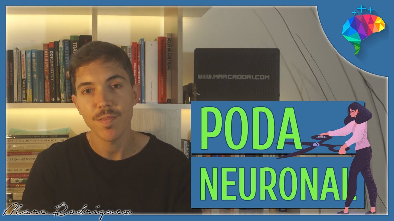 PODA NEURONAL, el proceso automático de optimización del cerebro