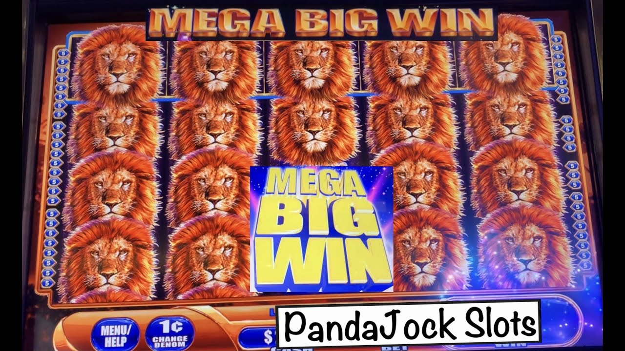 I got a Mega BIG WIN on the first machine I played in Vegas! King of Africa 🦁