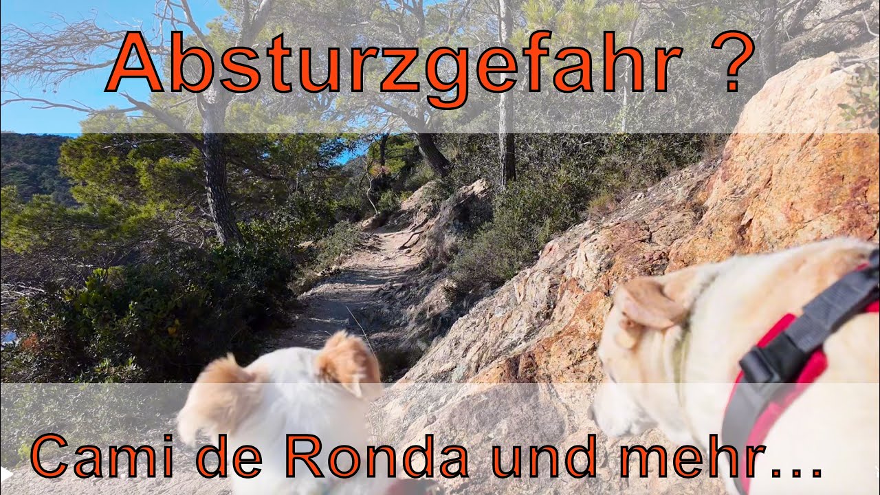 Schaffen wir den Cami de Ronda ohne abzustürzen? Abenteuer Bulli 2
