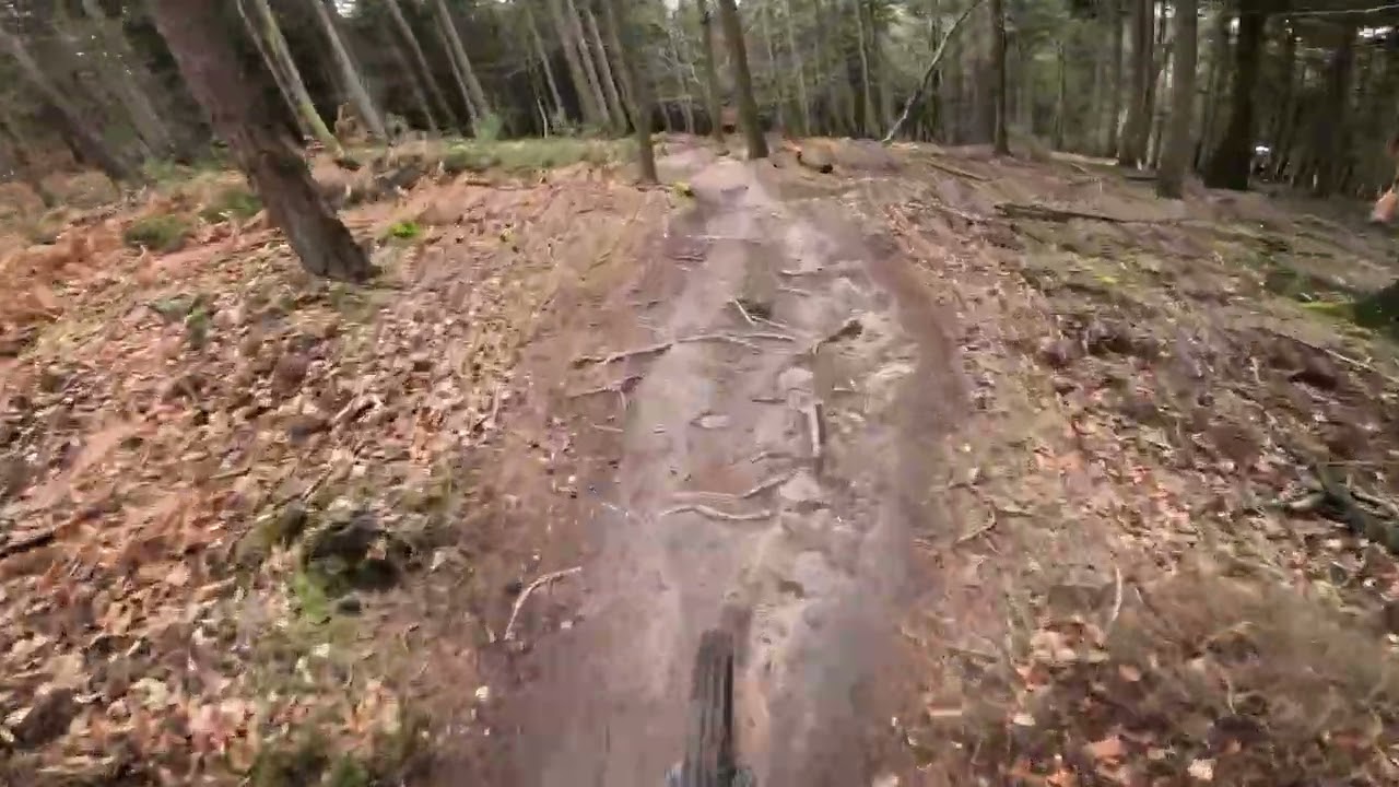 Weißer Stein + Ebike kaputt