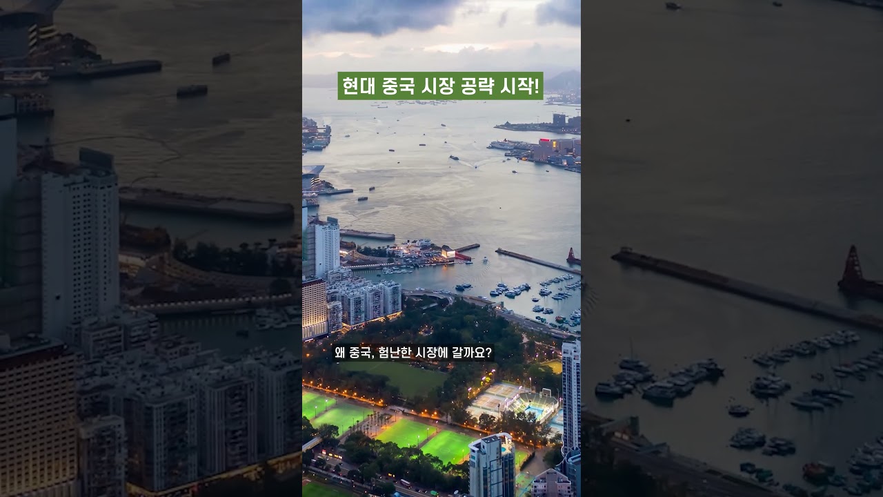 중국차? 아니, 이제 한국차의 시대야