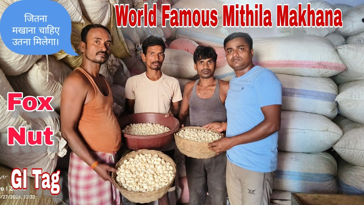 Makhana Production, Quality, Rate, Online Purchase, Location, Farmer Interview, Mobile Number, Etc |