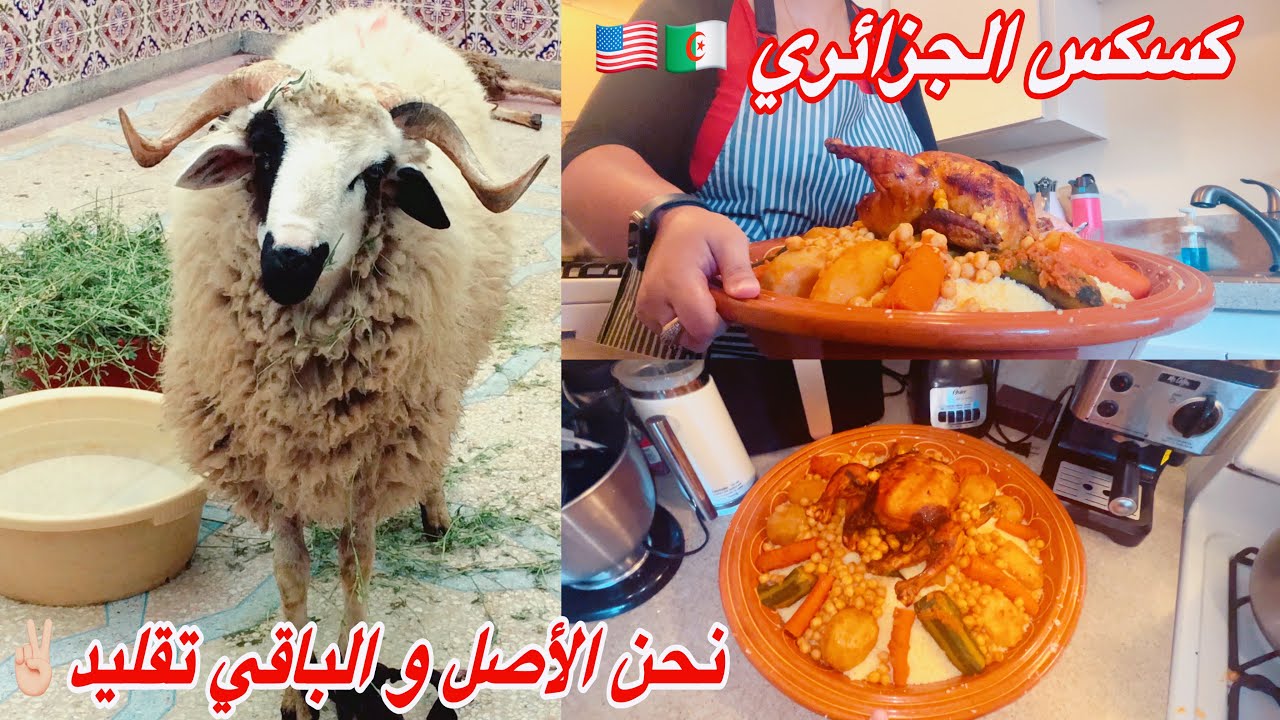 درت صدقة لأولاد بلادي قبل السفر🥹جارتي الأمريكية أول مرة تجرب الكسكس الجزائري👌تحضيرات العيد فالغربة🐏