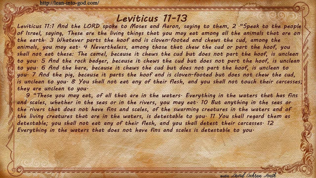 Leviticus 11-13