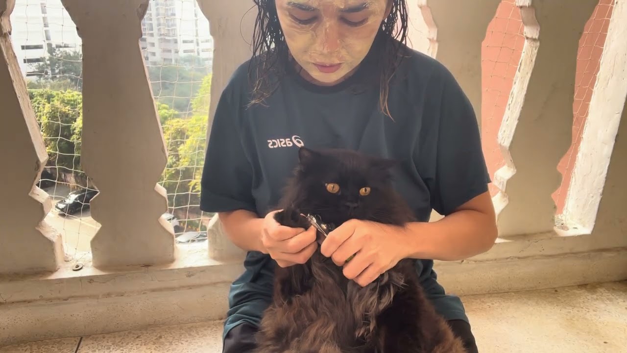 Nail cutting