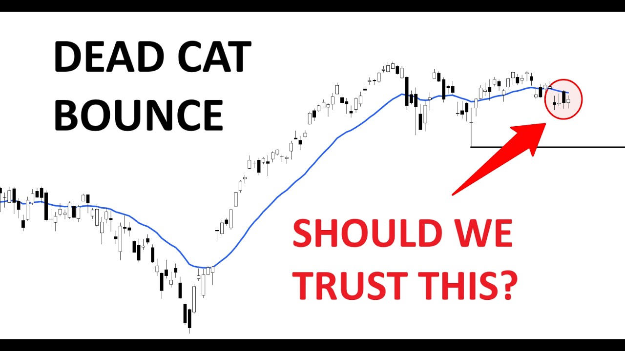 Technical Analysis of Stocks: SPY / QQQ / NVDA / TSLA / AMD / PLTR / SNDK / SMCI