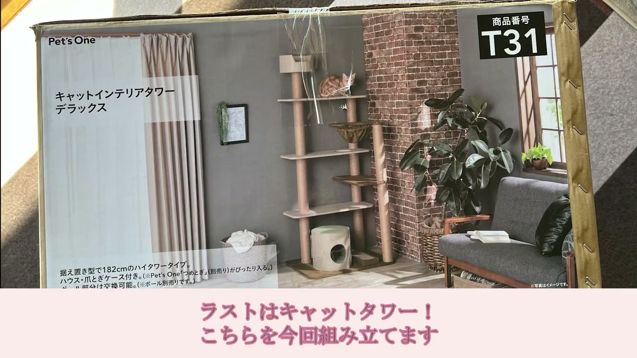 カインズキャットタワー購入しました！