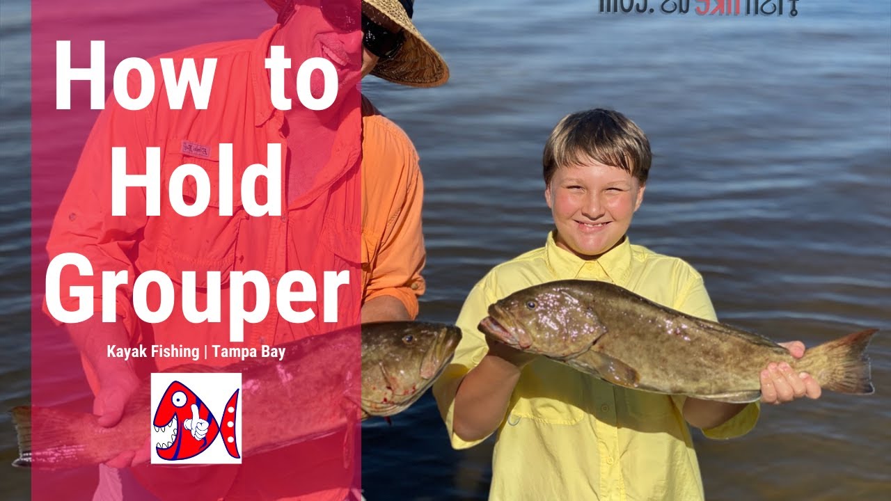 How to Hold Gag Grouper | How to Identify Gag Grouper | How to Catch Inshore Grouper