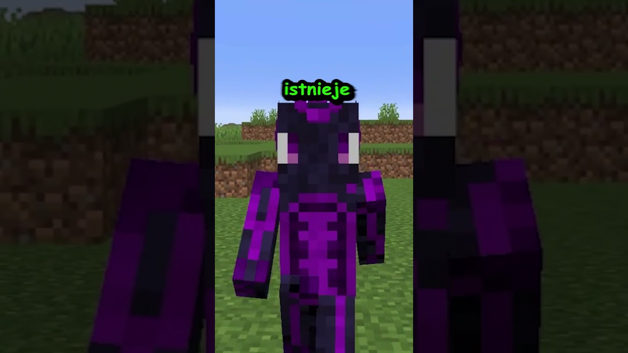 Jak wyczyścić czat w Minecraft w 1 sekundę! ⚔️💎