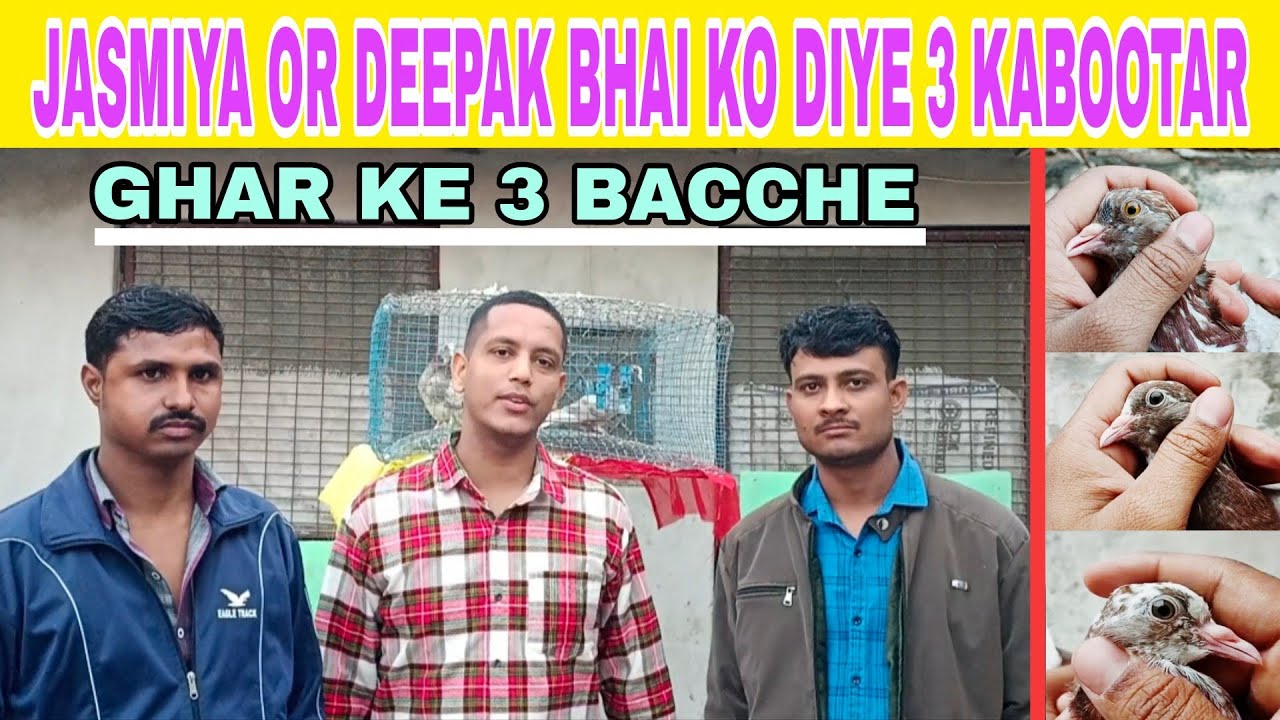 JASMIYA OR DEEPAK BHAI KO DIYE 3 KABOOTAR @AkashDhoundiyal-u1b 