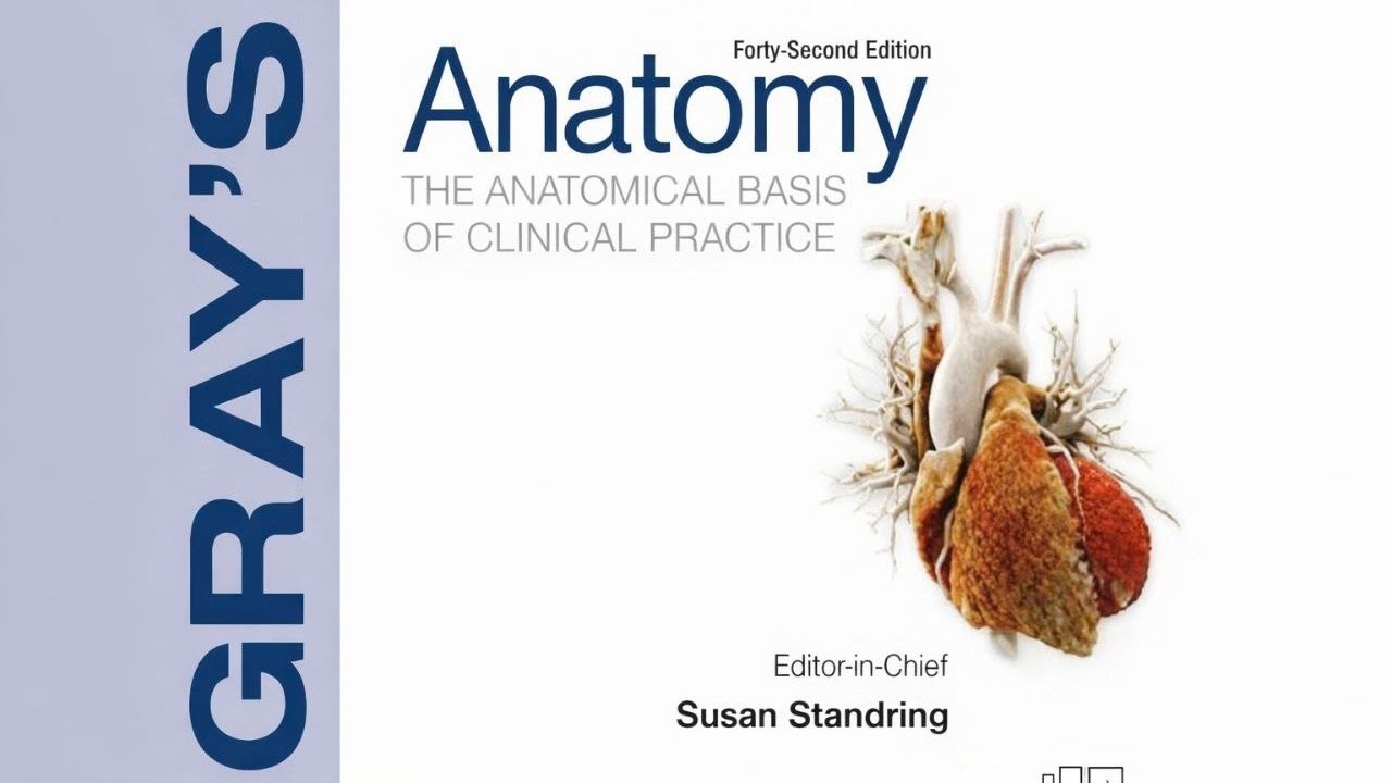 GRAY’S ANATOMY | Chapter-4 | Blood, Lymphoid Tissues & Haemopoiesis