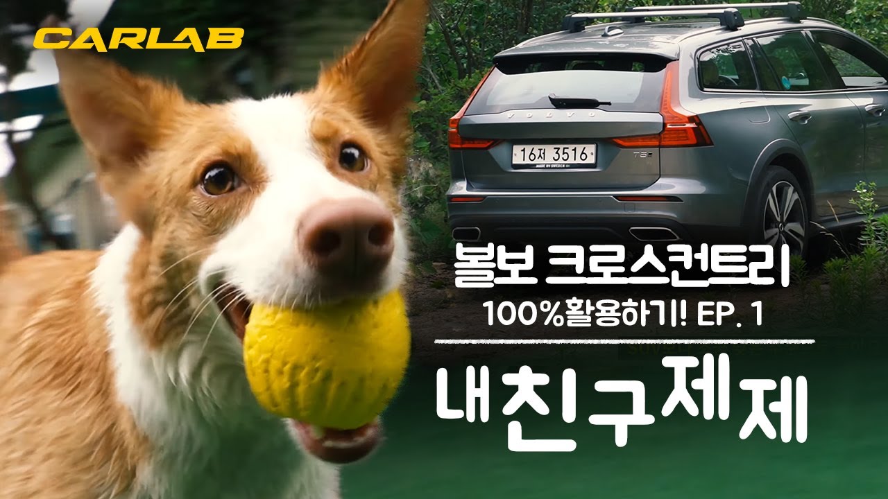 볼보 크로스컨트리 100% 활용기1탄 - 내 친구 제제 [카랩/CARLAB]