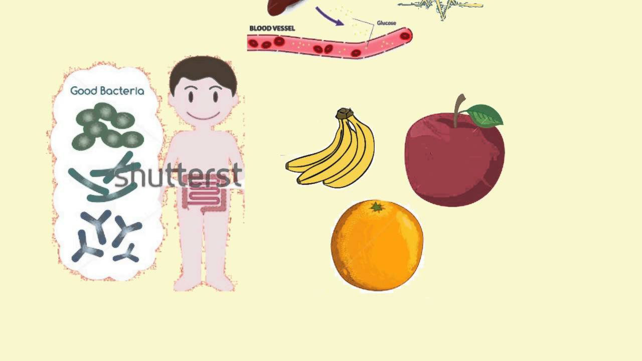كيمياء الطعام ( الفطار الصحي الكامل )