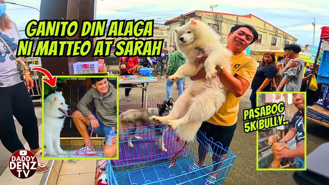 ISA SA MGA PRICEY DOG BREED.. / JAN. 11 @GROTTO PETS & LIVESTOCK MARKET