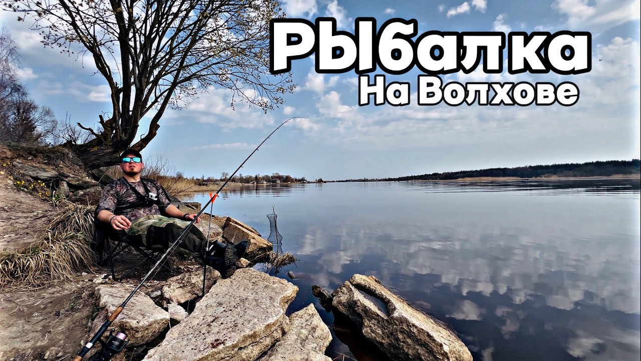 Весенний фидер на Волхове. Рыбалка/готовим у реки.