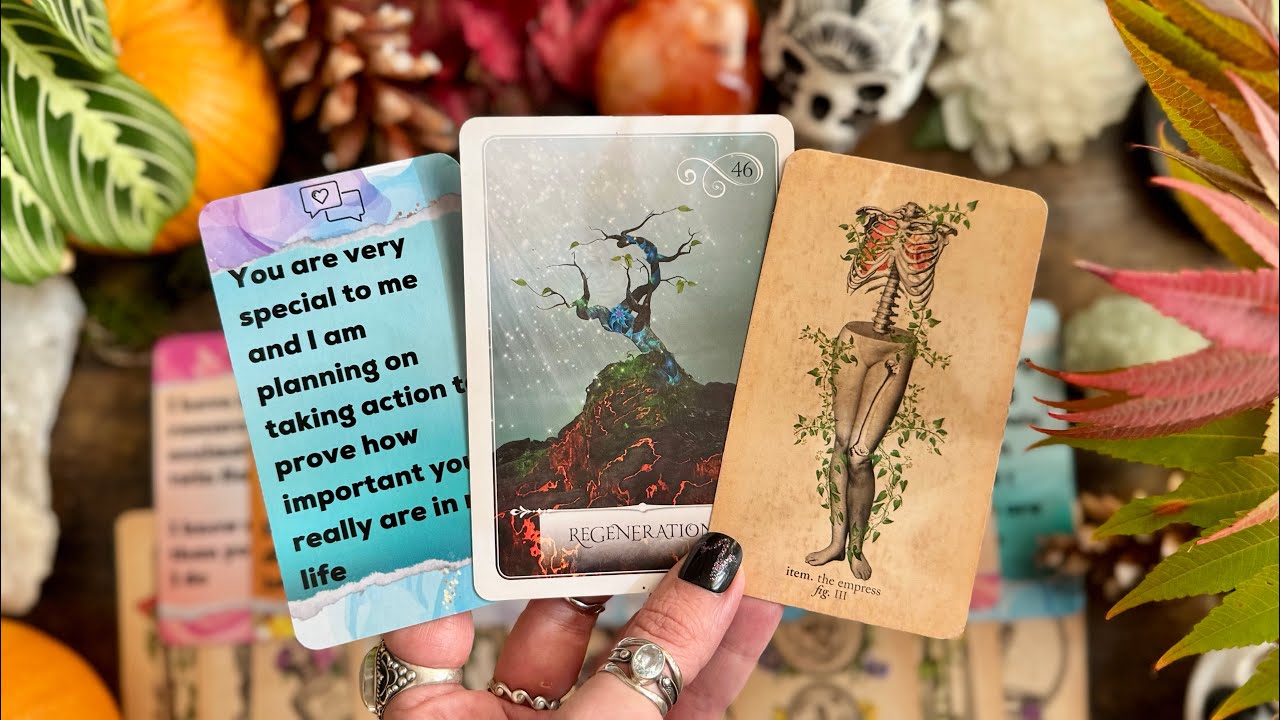You and this person aligned because you were meant to be a part of each others journey!⌛️TIMELESS⌛️