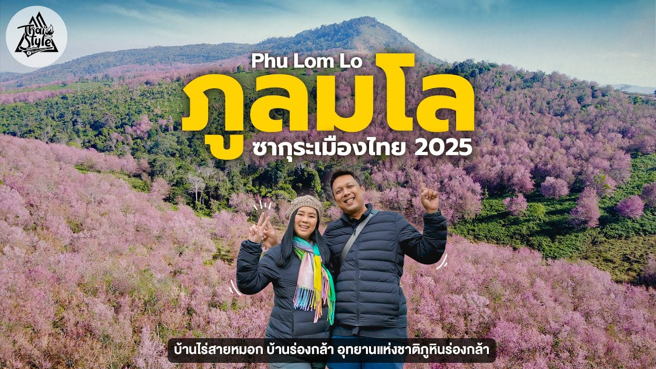 ภูลมโล 2025 ดอกนางพญาเสือโคร่ง ซากุระเมืองไทย พักบ้านไร่สายหมอก บ้านร่องกล้า หมู่บ้านสีชมพูในหุบเขา