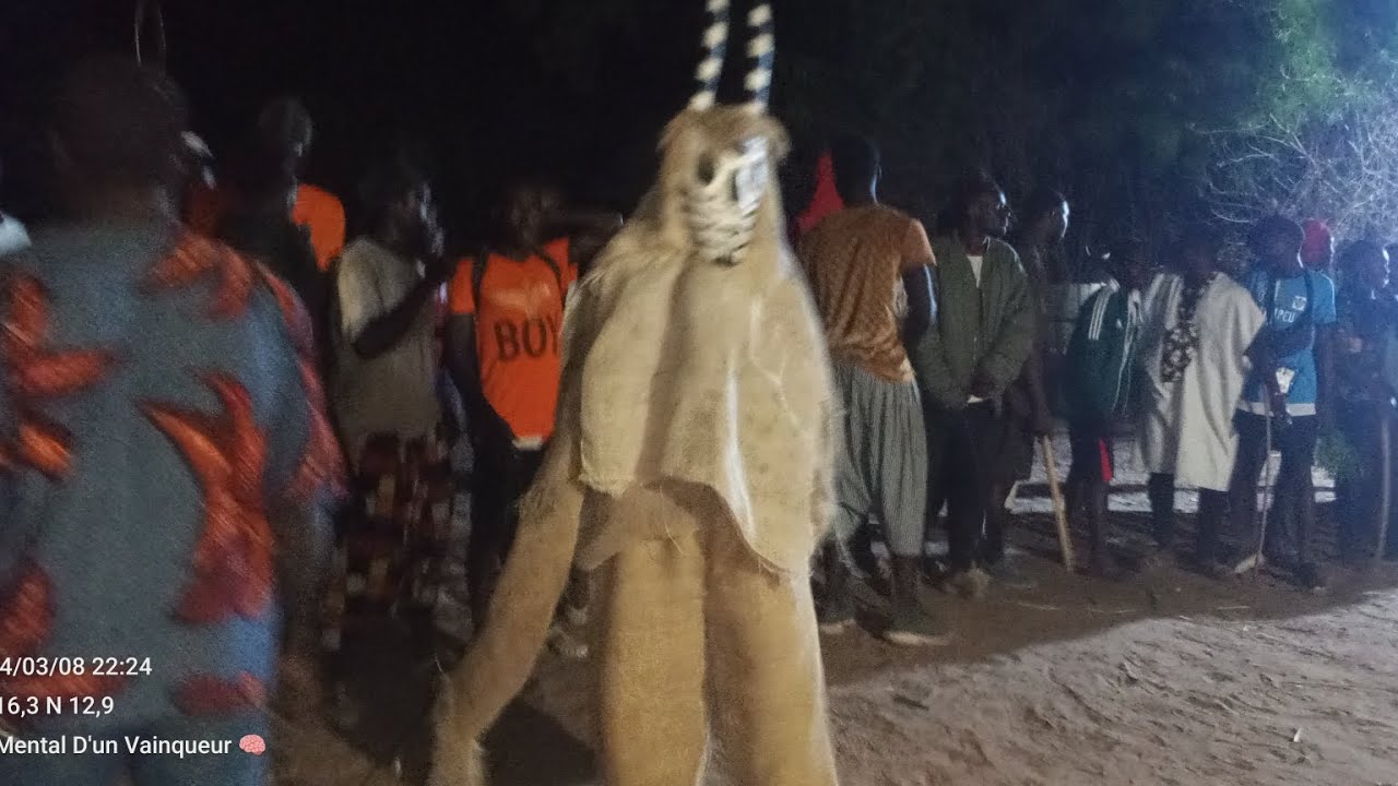La danse extraordinaire du essamay, masque traditionnel de la Casamance