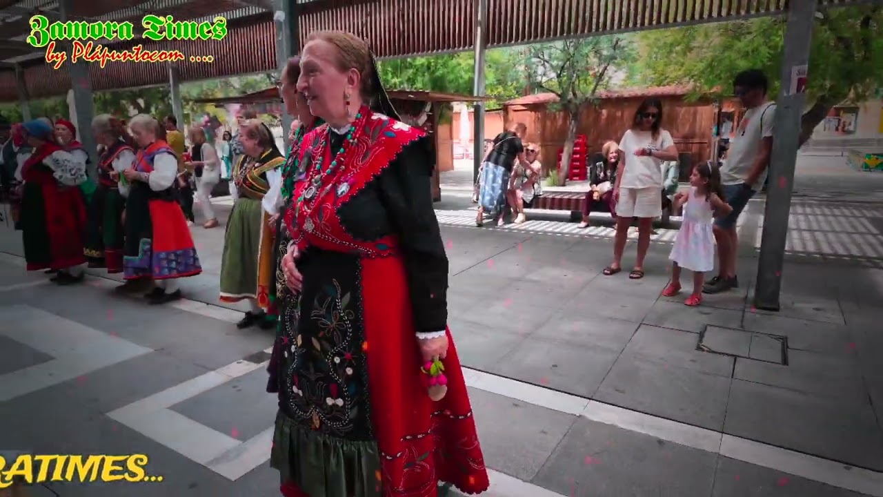 #zamoratimes ( Fiestas de San Pedro en Zamora - 2024)
