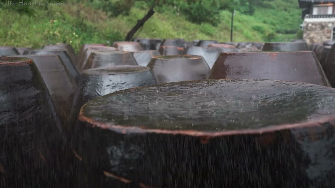 Звуки дождя, шепот из объятий Чангдокдэ, тихое приглашение к глубокому сну.