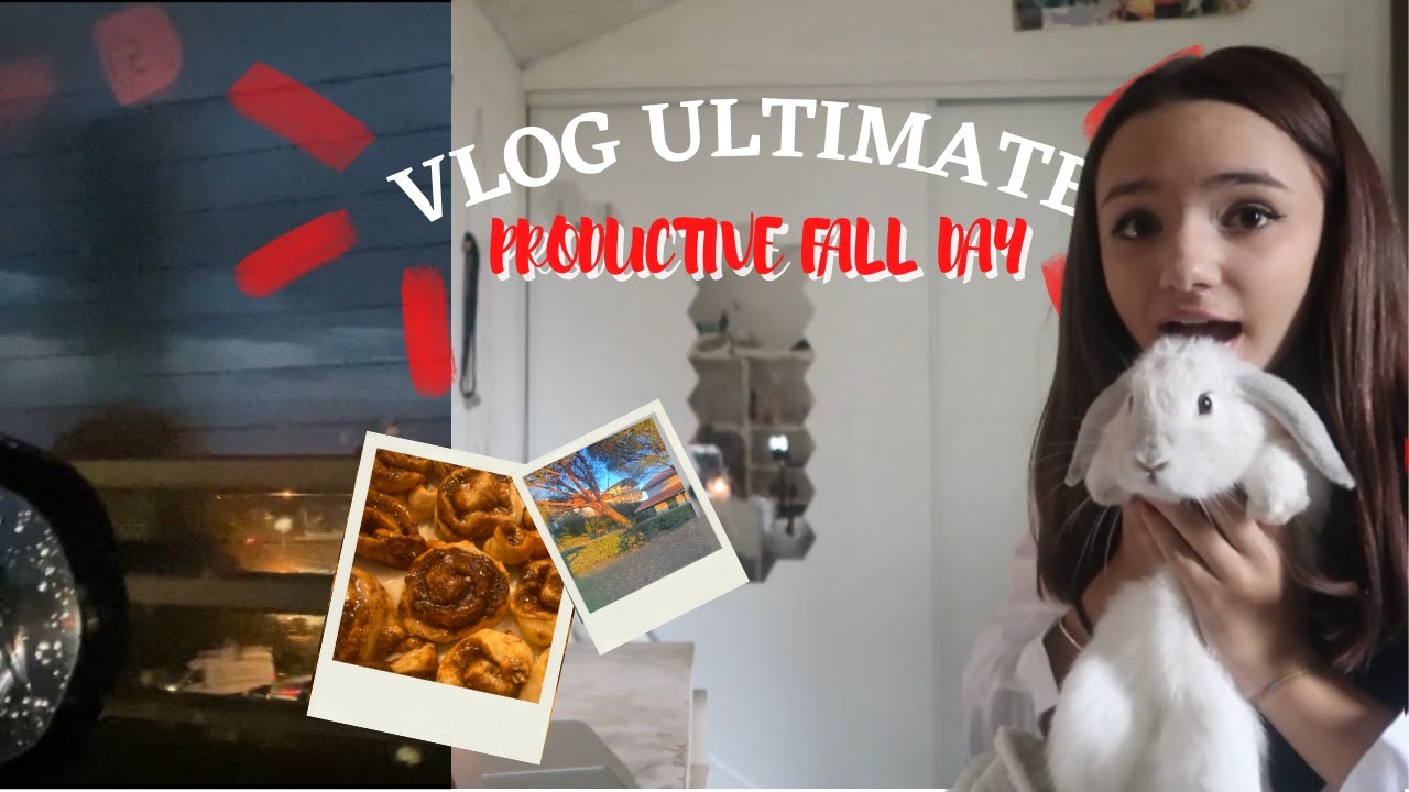 VLOG AUTOMNE - productivité, pâtisserie...