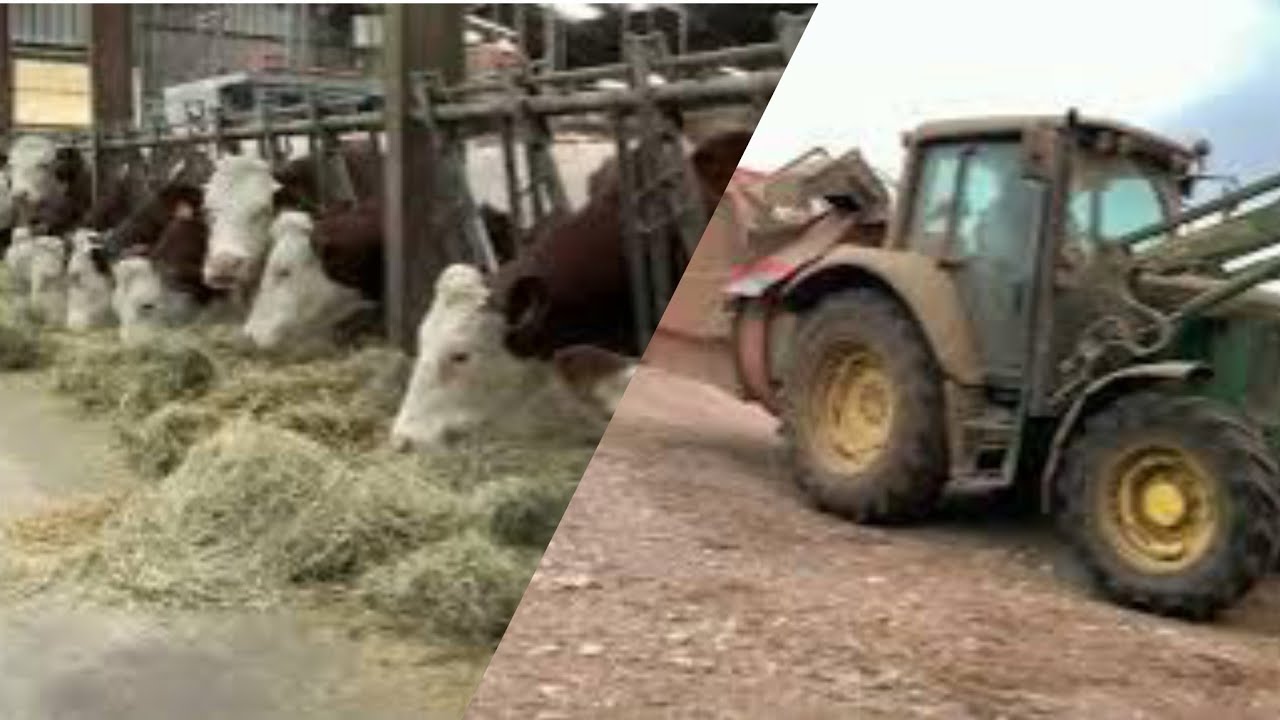 🧑‍🌾Soirée à la ferme en Haute Saône🐮
