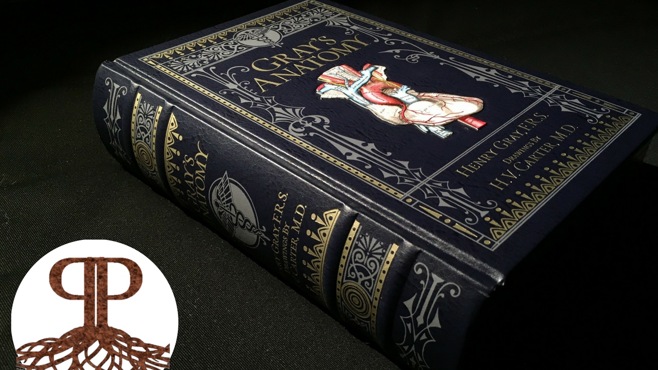 Gray's Anatomy | Barnes & Noble Leatherbound – Book Presentation