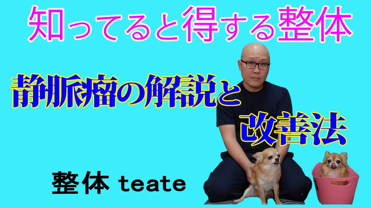 知ってると得する整体～静脈瘤の解説と改善法編～
